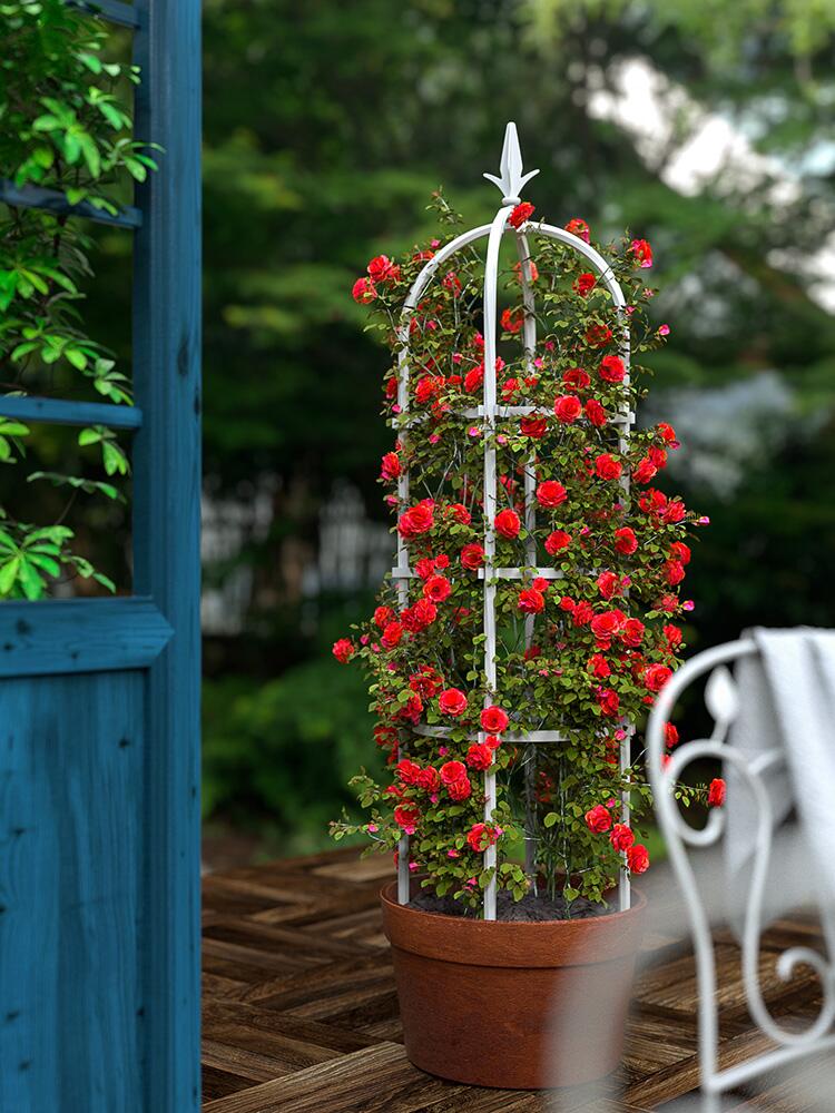 柱形玫瑰花架.jpg